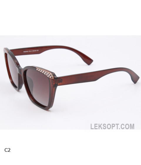 Sunglasses Polar Eagle PE09452
