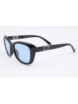 Sunglasses Polar Eagle PE09835