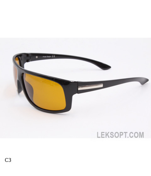 Sunglasses Polar Eagle PE8318