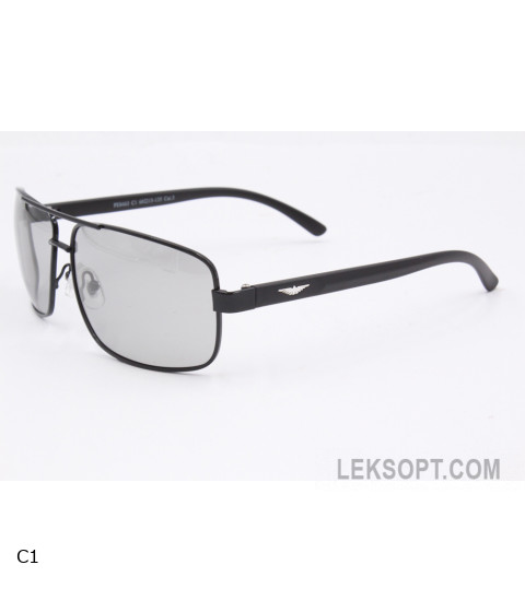Sunglasses Polar Eagle PE8463