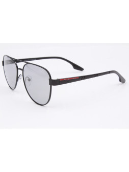 Sunglasses Polar Eagle PE8493