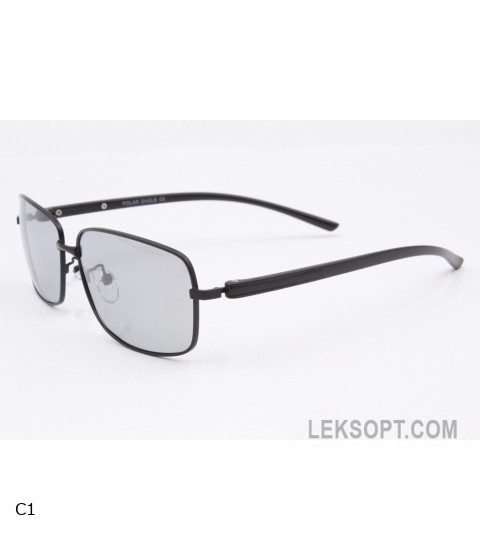 Sunglasses Polar Eagle PE8494