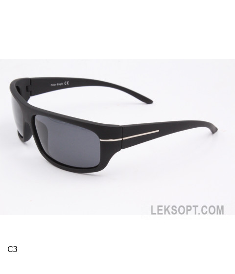 Glasses Polar Eagle PE8203 buy Sunglasses in the online store leksopt Buy Sunglasses
