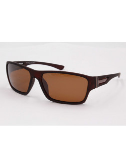 Polar Eagle Sunglasses PE8243